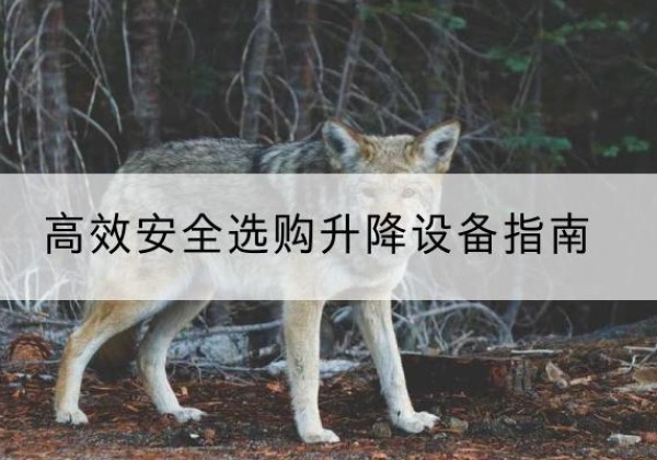 庄浪升降货梯厂家推荐-*安全选购升降设备指南