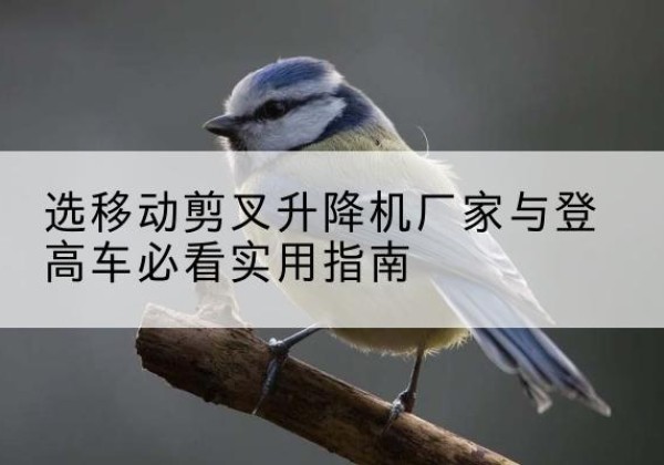 庄浪电动升降机厂家-选移动剪叉升降机厂家与登高车必看实用指南