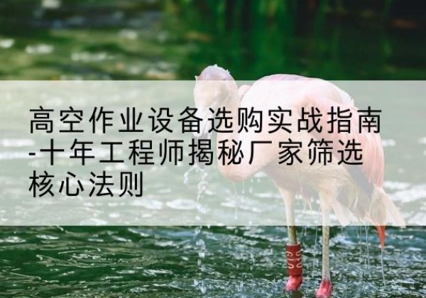 庄浪剪叉式升降机厂家-高空作业设备选购实战指南-十年工程师揭秘厂家筛选核心法则